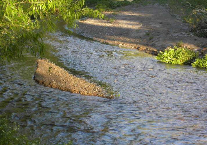 Tumacacori Cottonwood and Willow Watering 2