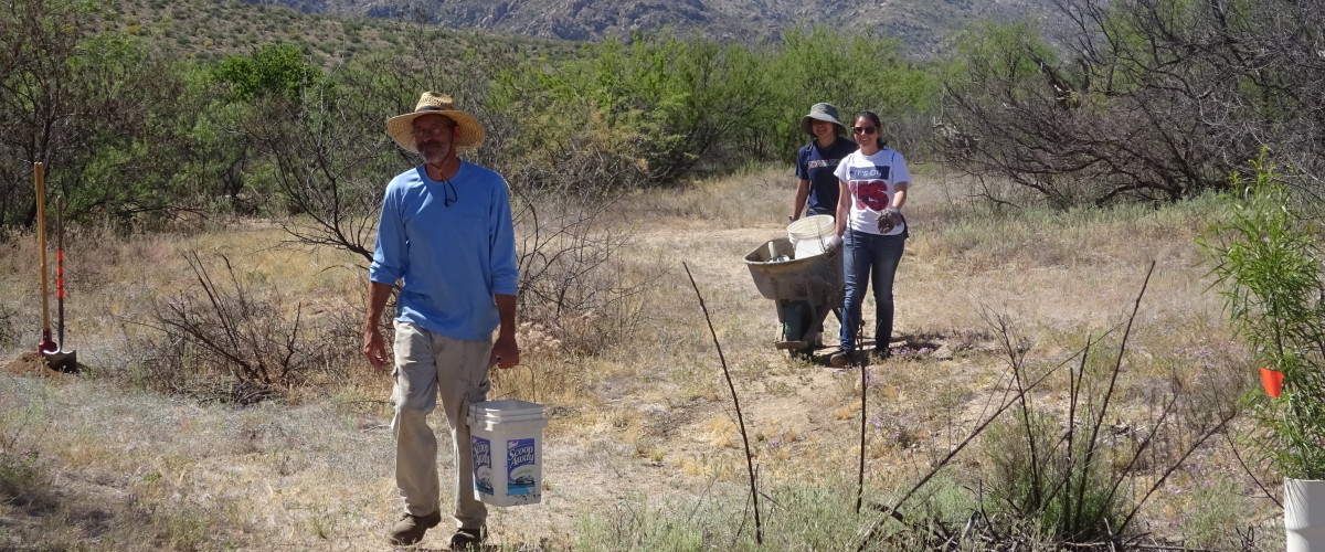 Sutherland Wash Restoration