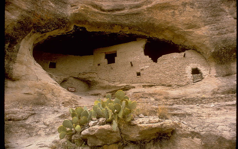 August Pollinator Planting at Gila Cliff Dwellings National Monument (New Mexico)