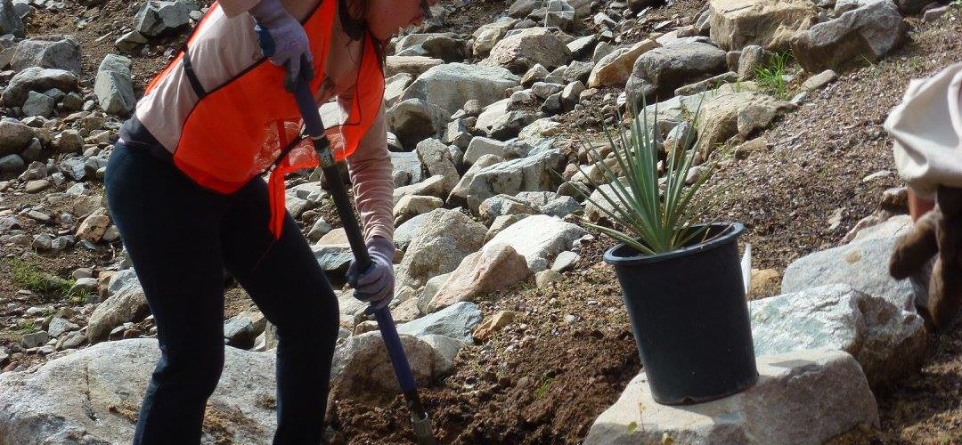 National Public Lands Day - Madera Canyon