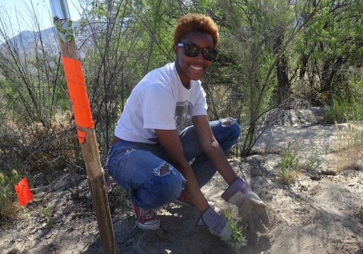 Oracle Road Wildlife Crossing - Planting Day!