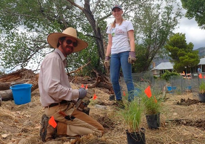 Pollinator Planting in Brown Canyon