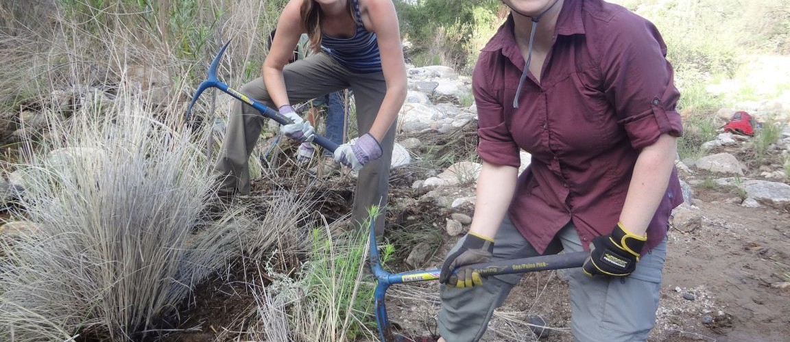 Bear Canyon Riparian Restoration