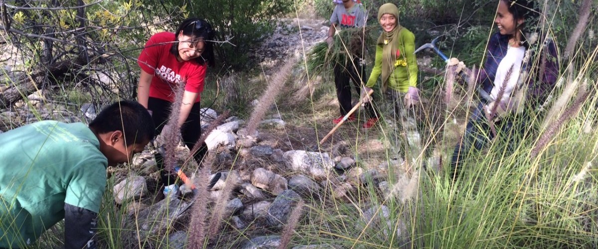 Beat Back Buffelgrass Day - Bear Canyon