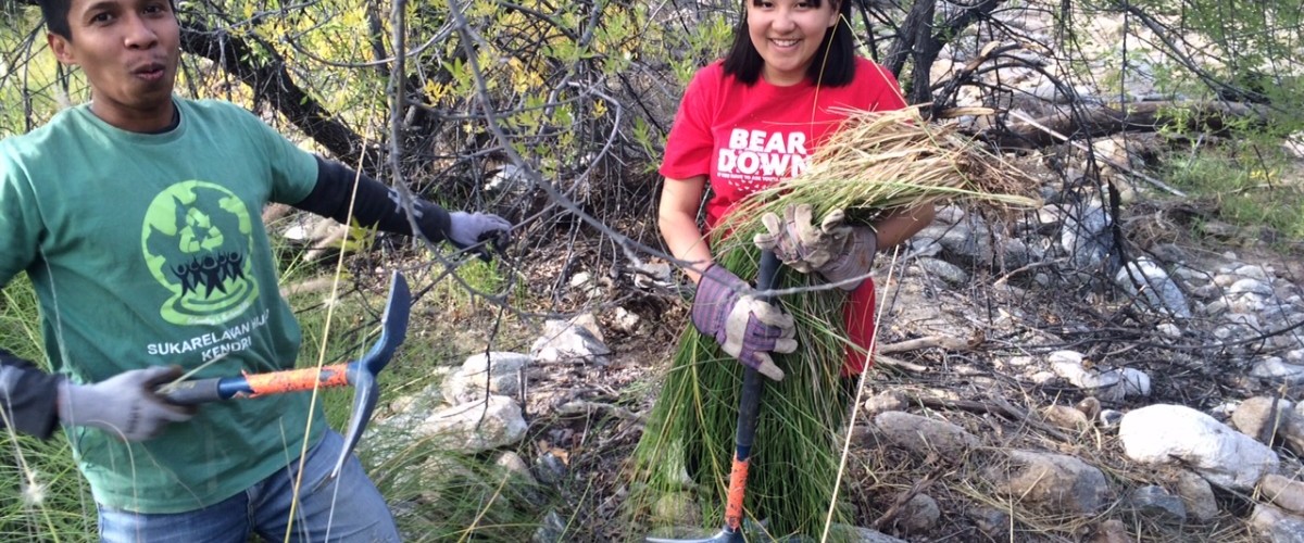 Days of Caring - Fountain Grass Removal Saturday