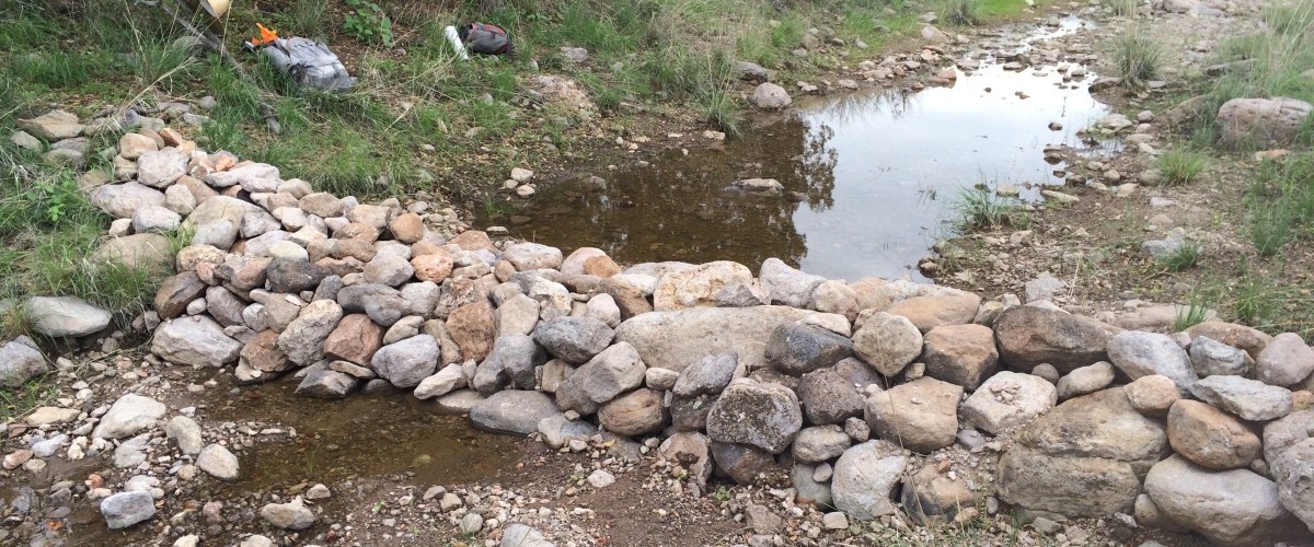 Watershed Restoration in Tex Canyon - Chiricahuas