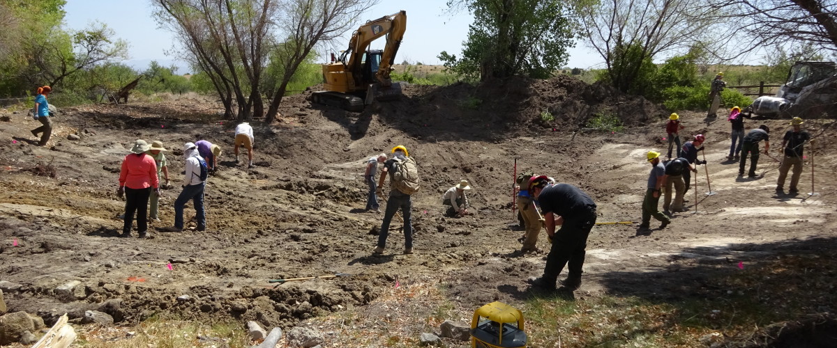 TimBuckTwo Pond Restoration - Tuesday