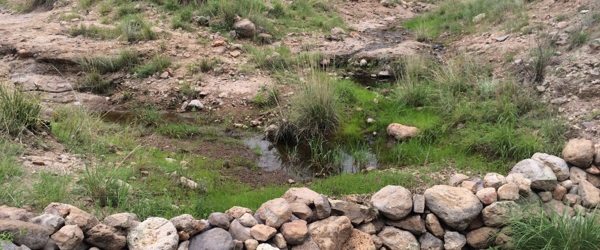 Tex Canyon Restoration - Chiricahuas