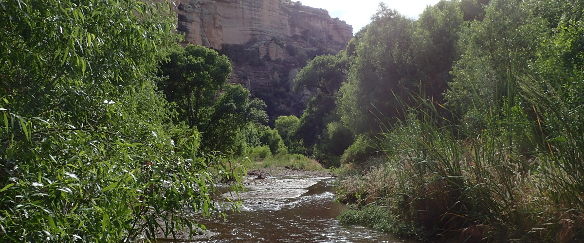 Monsoon in Aravaipa Canyon