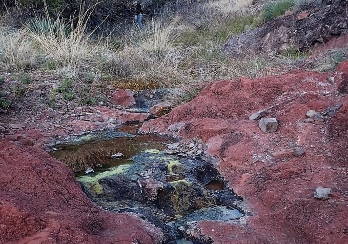 Spring Assessments: Southern Galiuros in November