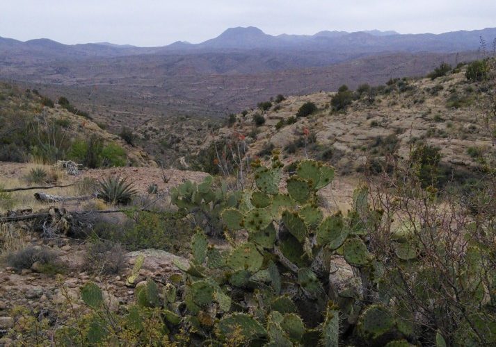 Spring Assessments: Aravaipa Uplands in February