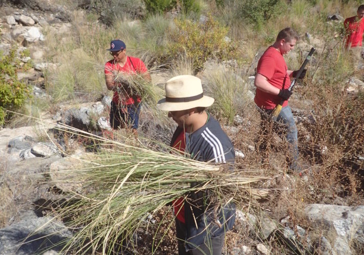 Bear Canyon Fountain Grass Thursday Fight Club