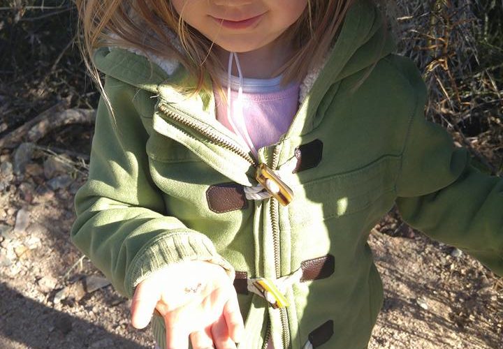 Parker Canyon Seed Collection