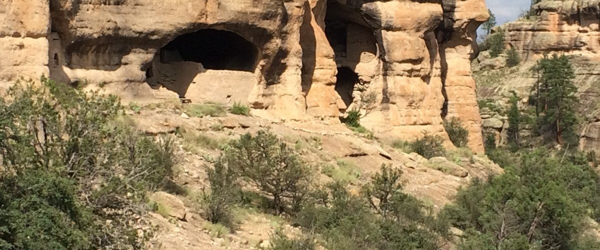 Pollinator Planting at Gila Cliff Dwellings National Monument