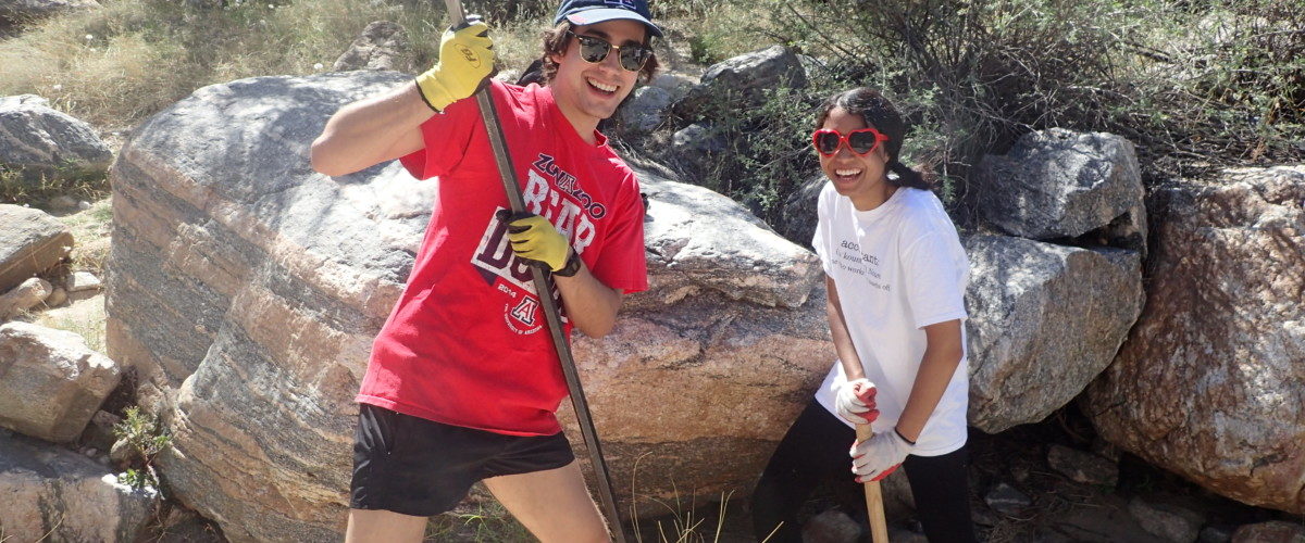 Beat Back Buffelgrass Month: It begins!