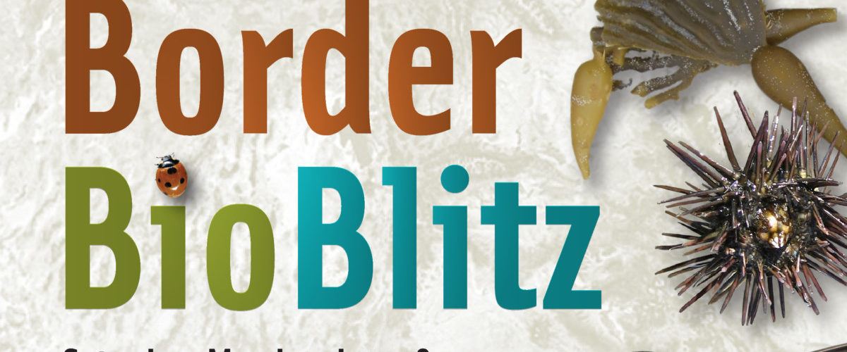 Border BioBlitz