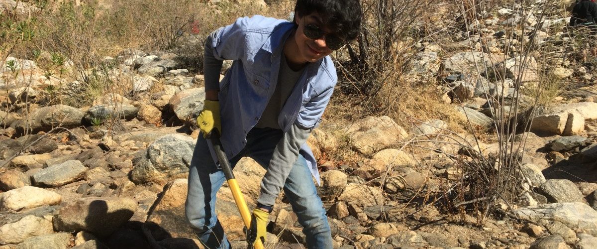 Watering and Weeding in Bear Canyon-May 5