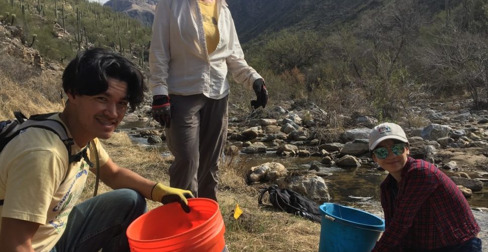 Watering and Weeding in Bear Canyon