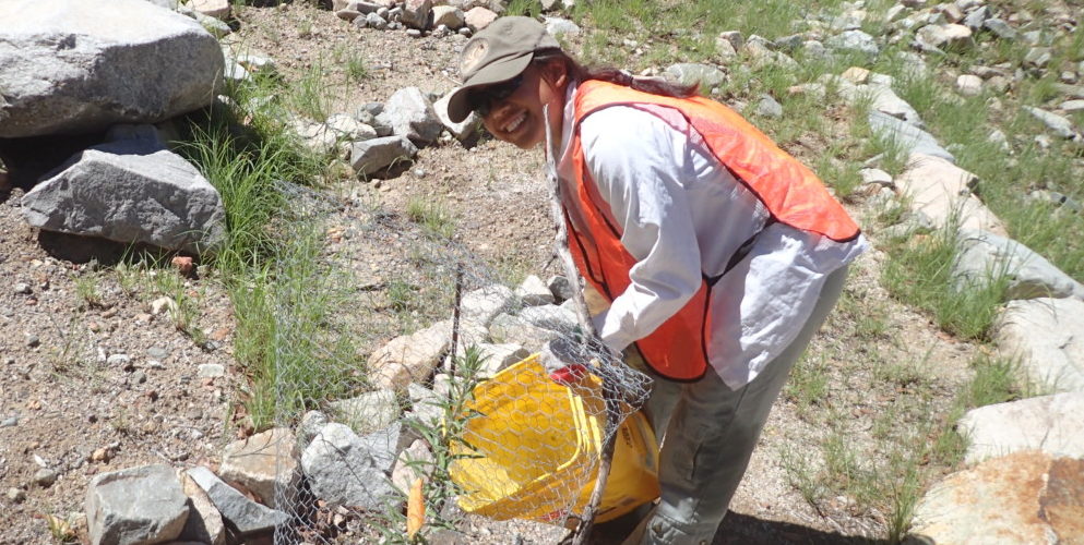 Watering Day in Bear Canyon