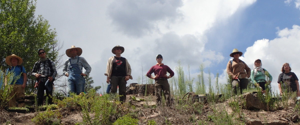 Gila Cliff Dwellings Hillside Restoration - June 14