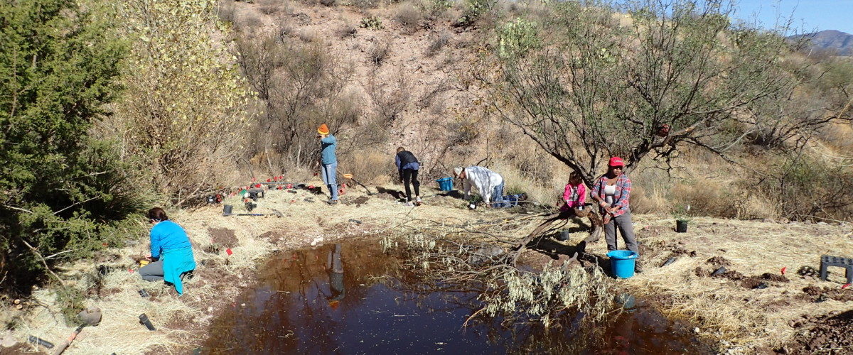 Southern Galiuro Pond Check-up - June 6