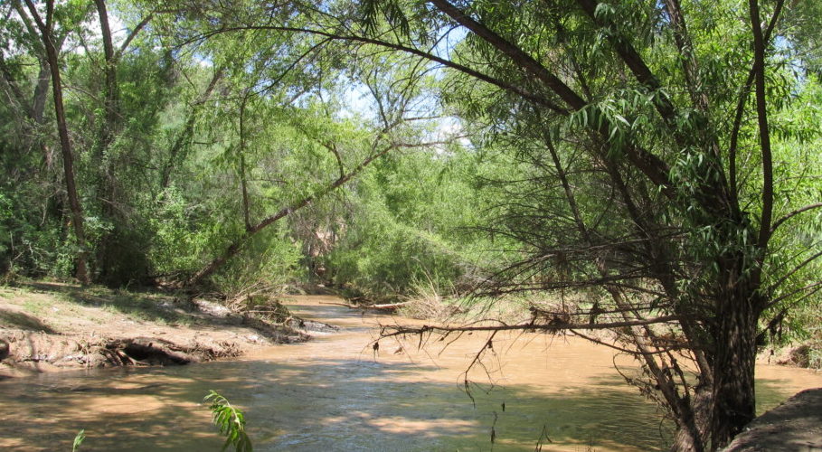 San Pedro River Wet-Dry Mapping