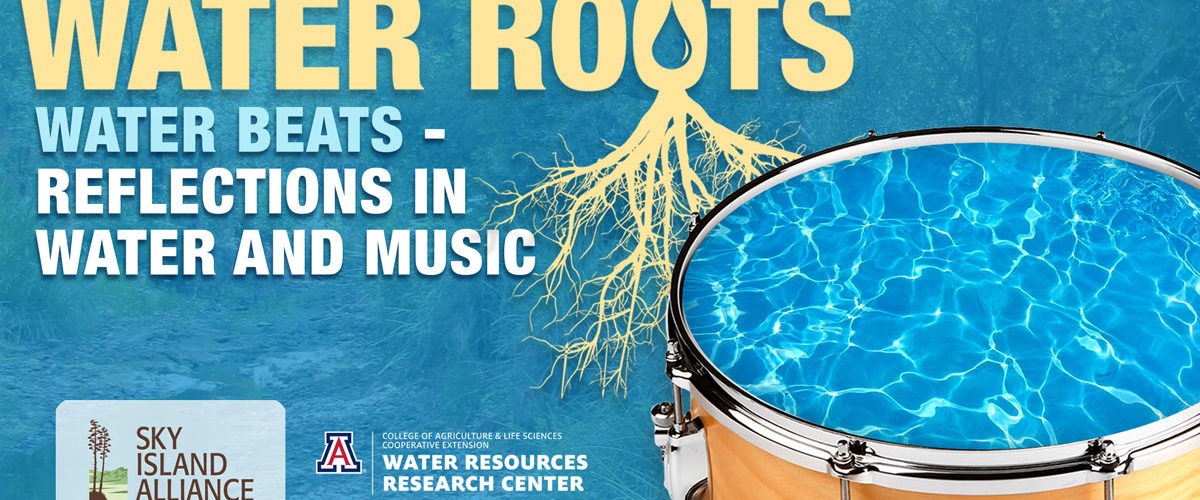 Water Roots - Water Beats: Reflections in water and music