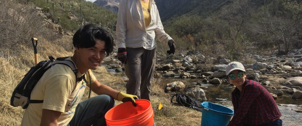 Watering and Weeding in Bear Canyon-June 26