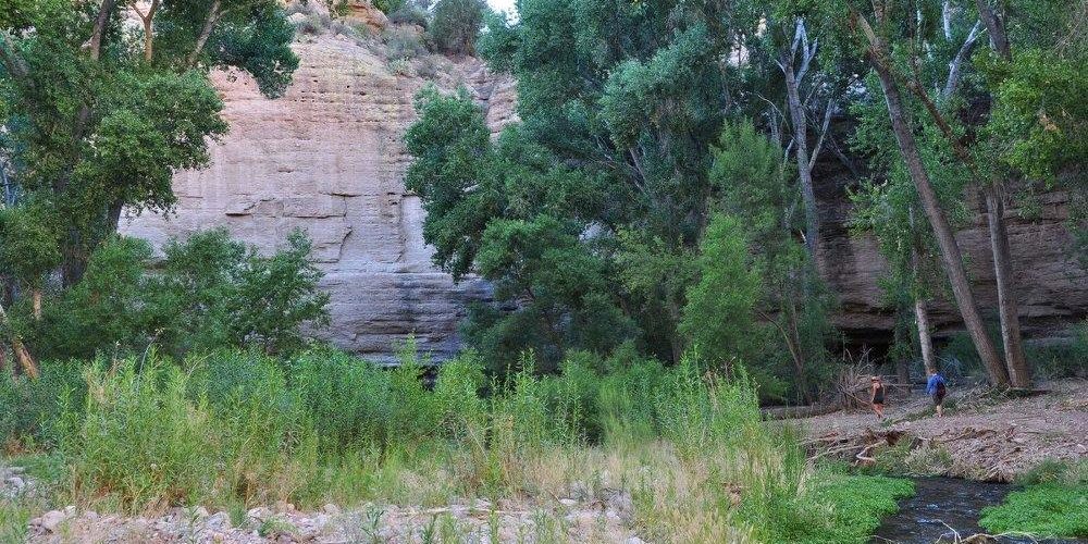 Aravaipa Canyon Planting