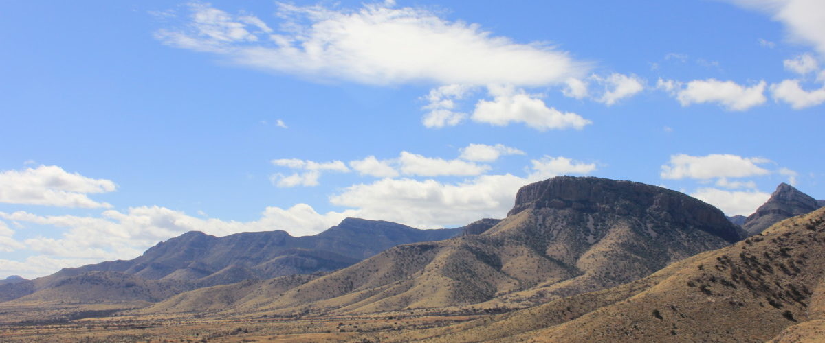 Kartchner Caverns Planting and Erosion Control