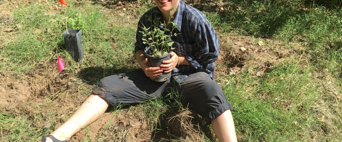 Aravaipa Canyon Planting: West Side!