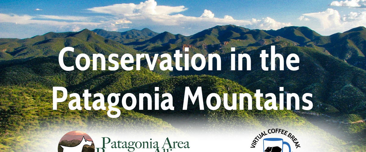 Conservation in the Patagonia Mountains