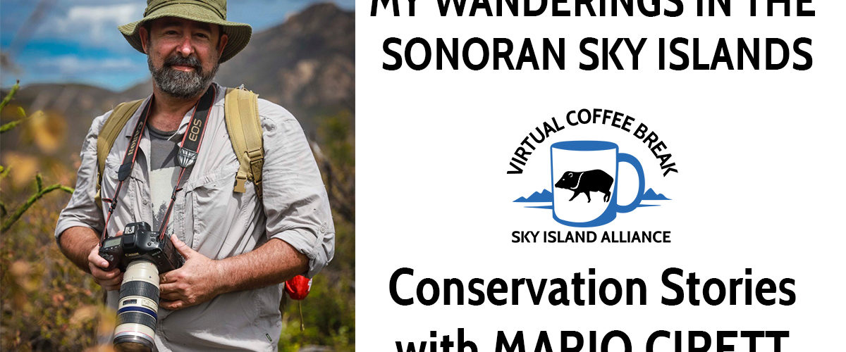 My Wanderings in the Sonoran Sky Islands—Conservation Stories with Mario Cirett