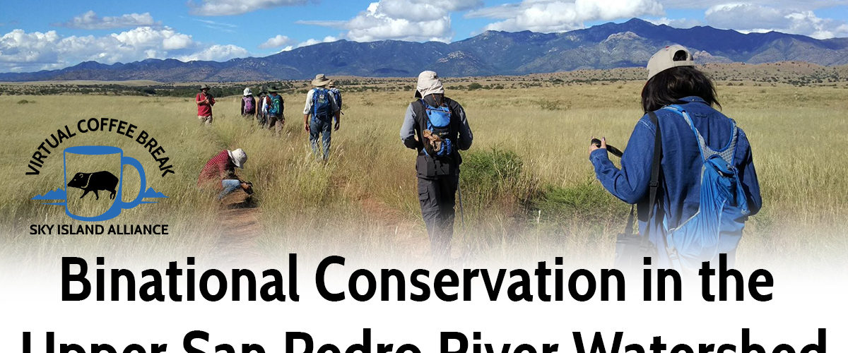 Binational Conservation in the Upper San Pedro River Watershed