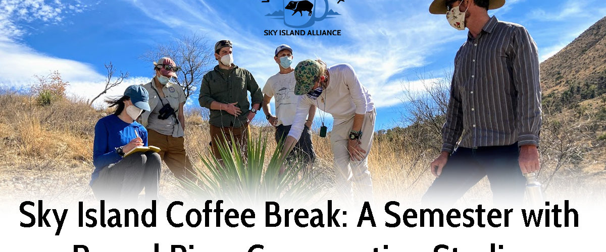 Sky Island Coffee Break: A Semester with Round River Conservation Studies