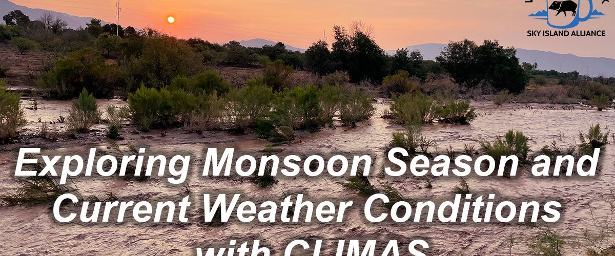 Sky Island Coffee Break: Exploring Monsoon Season and Current Weather Conditions with CLIMAS