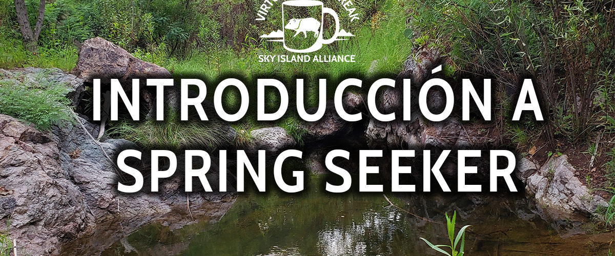 Sky Island Coffee Break: Introducción a Spring Seeker en Español