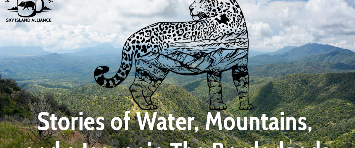 Sky Island Coffee Break: Stories of Water, Mountains, and a Jaguar in The Borderlands