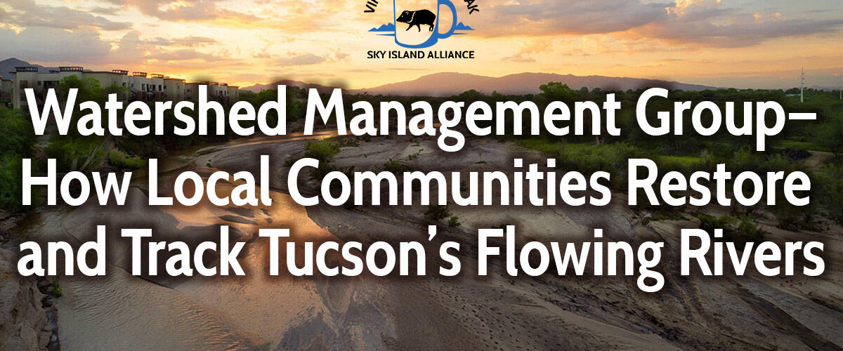 Sky Island Coffee Break: Watershed Management Group—How Local Communities Restore and Track Tucson’s Flowing Rivers