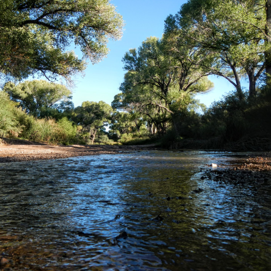 San Pedro River