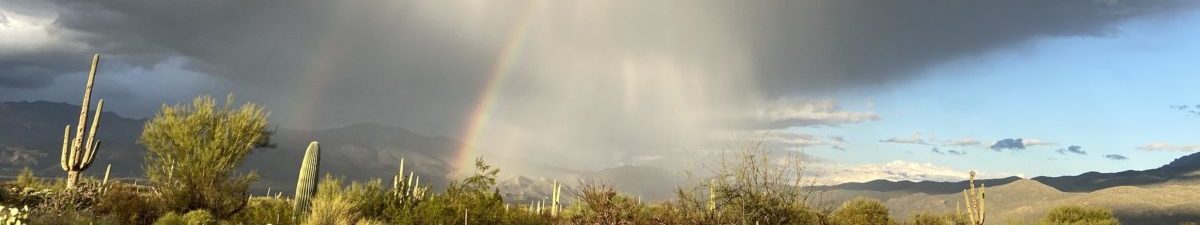 Monsoon rainbow in Saguaro National Park East.