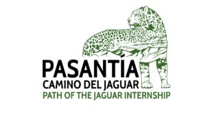 Path of the Jaguar internship