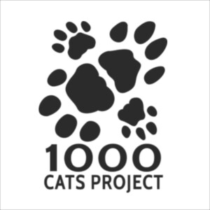 1,000 Cats Project