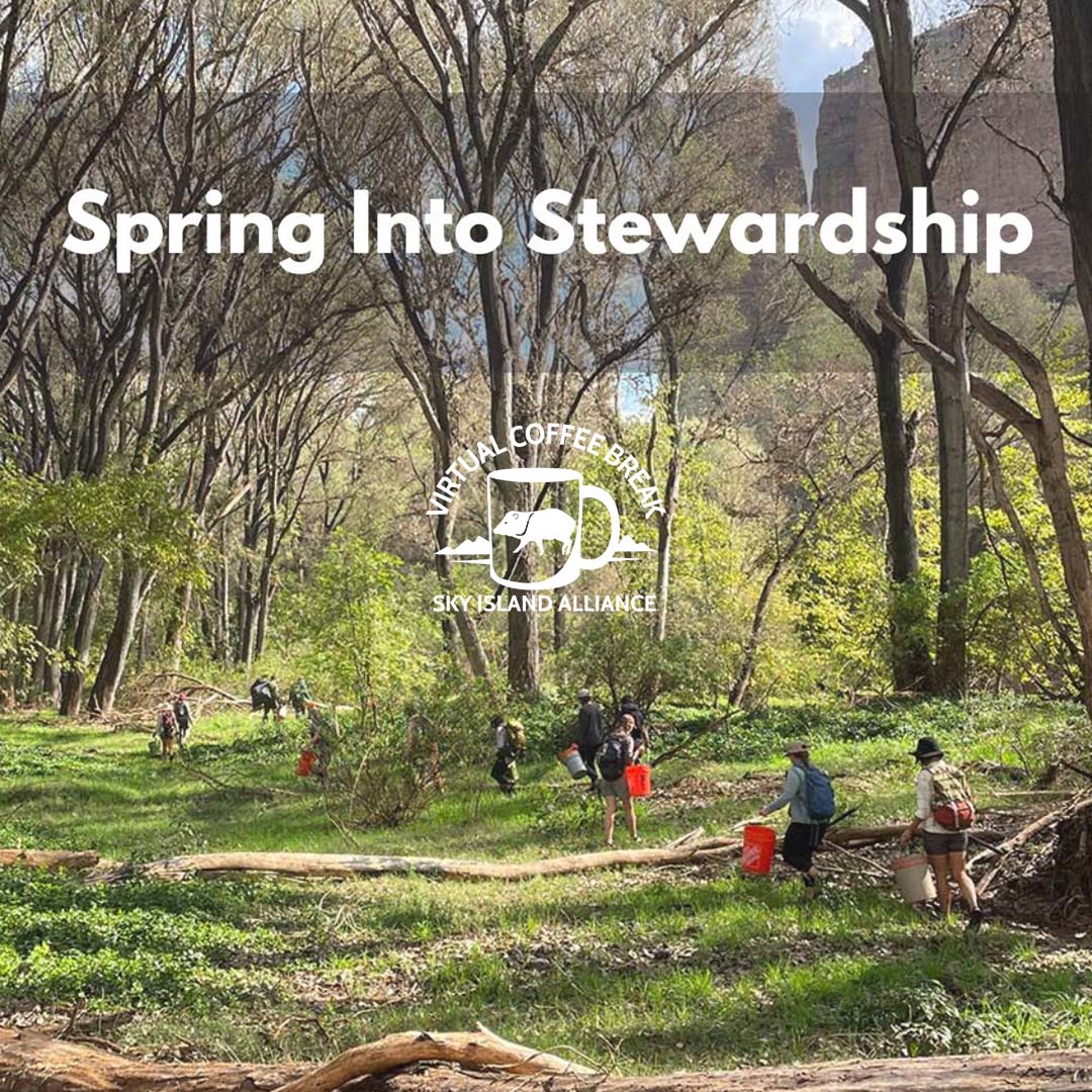 Spring into stewardship