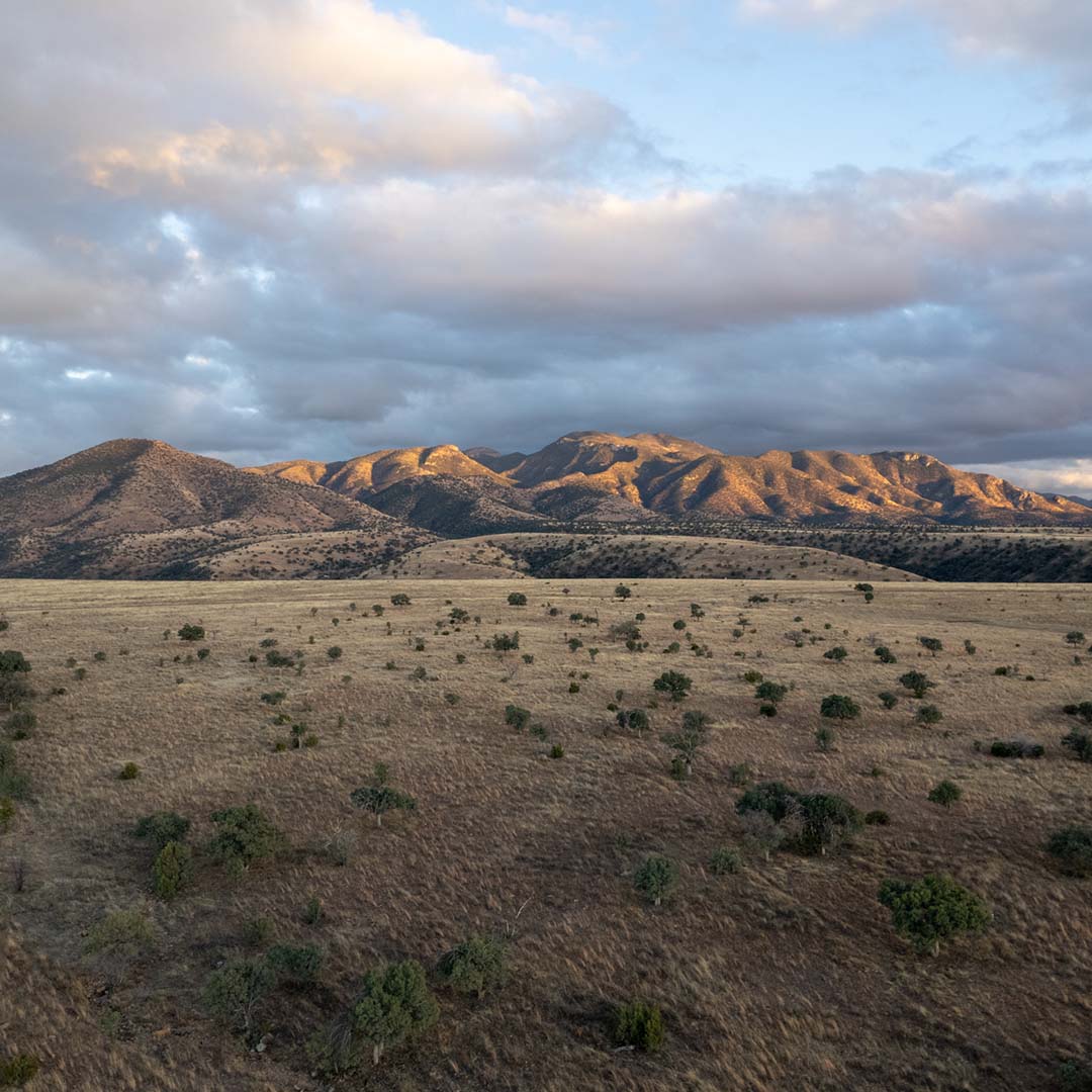 Sky Island Alliance UN-Funded Conservation Project Takes Off in Sonora