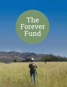The Forever Fund