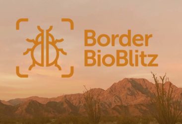 Border BioBlitz