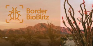 Border BioBlitz