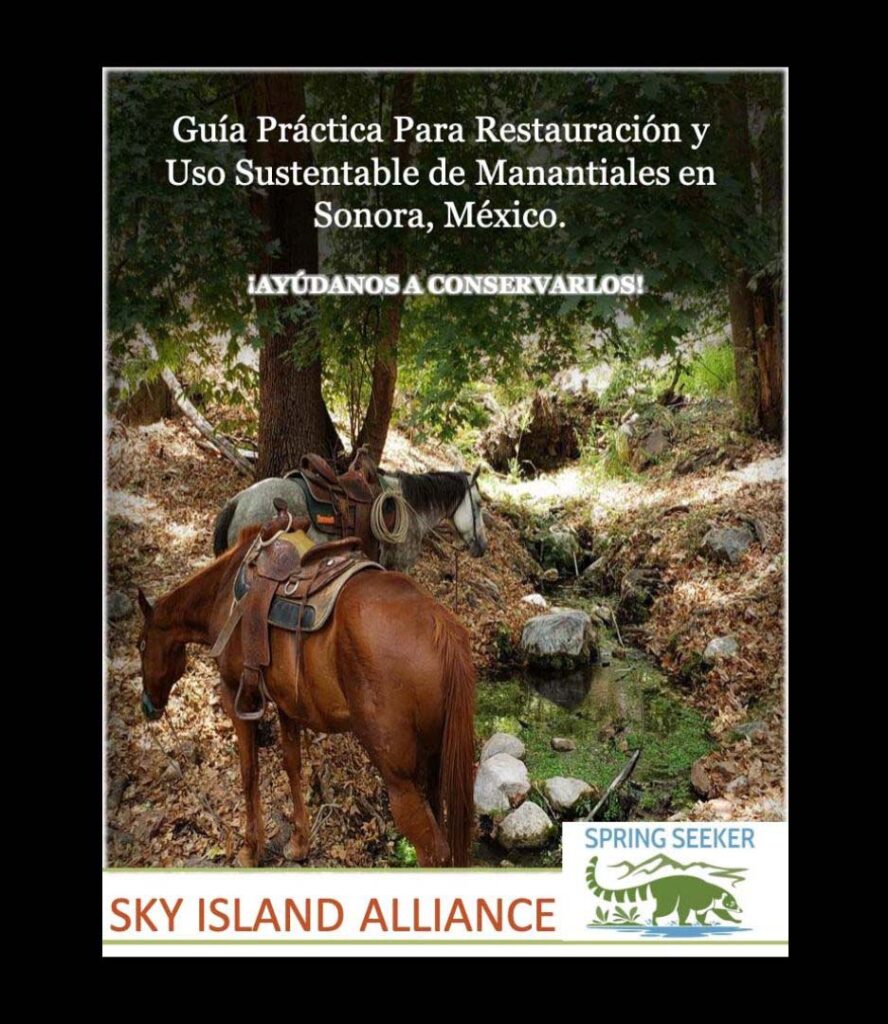 Guia para manantiales