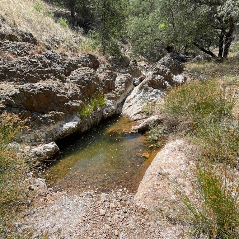 The image for Survey Springs in the Galiuro Wilderness